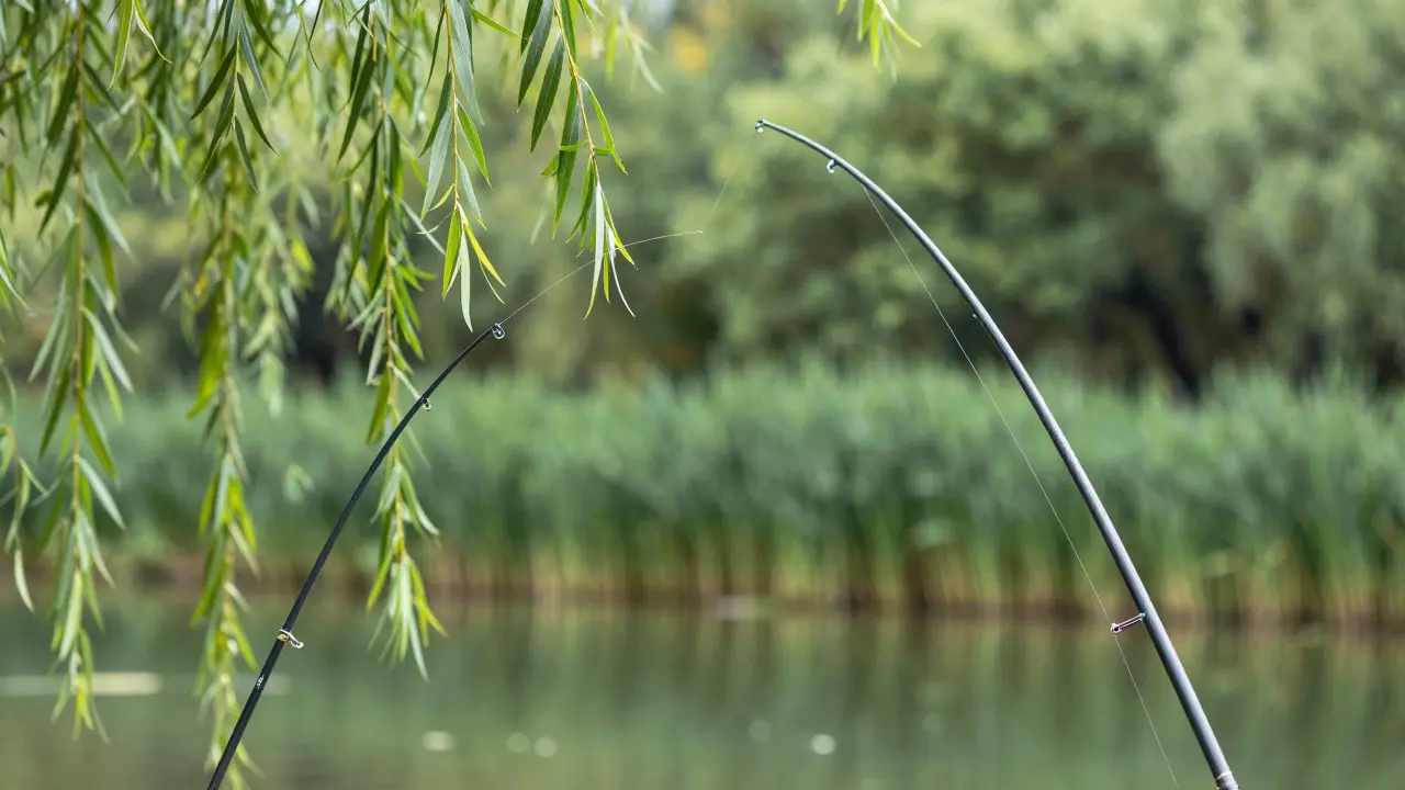 Сравнение изгиба короткого и длинного удилища при забросе приманки